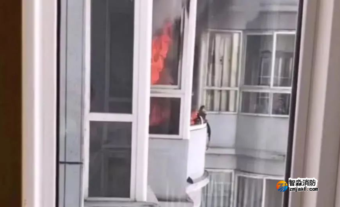 1650264104366960.png image.png