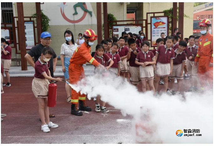 1650264380972127.png image.png