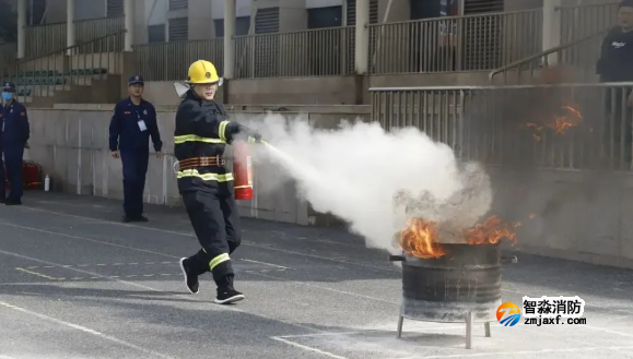 1667532494719390.png image.png